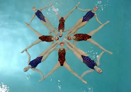 花样游泳,游泳,西方人,伙伴,朋友,体育馆,游泳池,躺,伸展双臂,横图