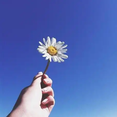 吸引人的快手头像风景图片微光盛夏