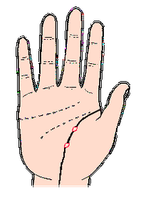 8,烦恼线与生命线金星丘附近的折线,横过生命线,称为(烦脑线);此为烦