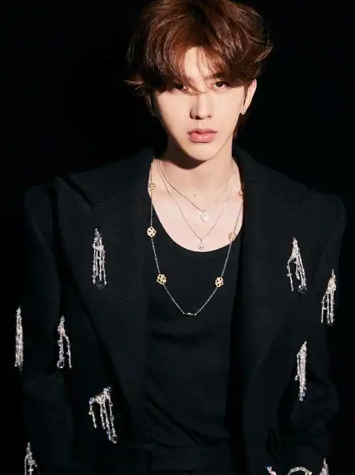 简介:蔡徐坤黑色西服时髦酷帅写真图片,分享一组蔡徐坤图片给大家,图