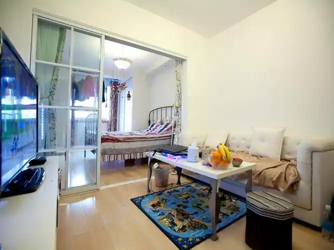 一室一厅硬是改成了两室一厅也是醉了 小房子伤不起啊!