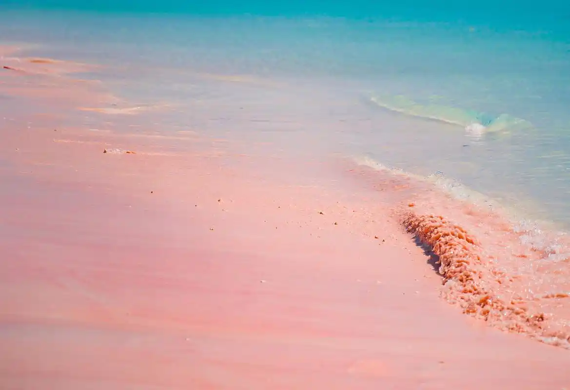 粉色沙滩位于巴哈马群岛上哈勃岛,被美国《新闻周刊》评选为世界上最