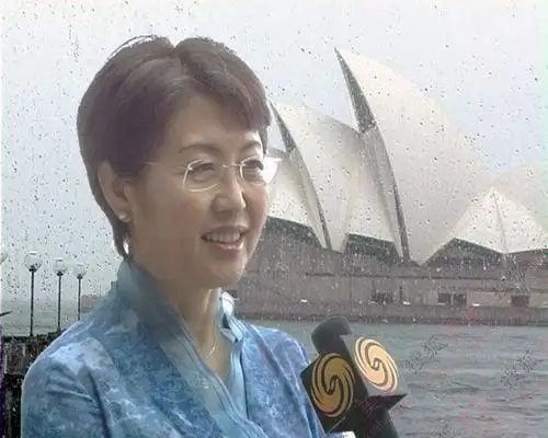 人大首位女发言人傅莹年轻漂亮照