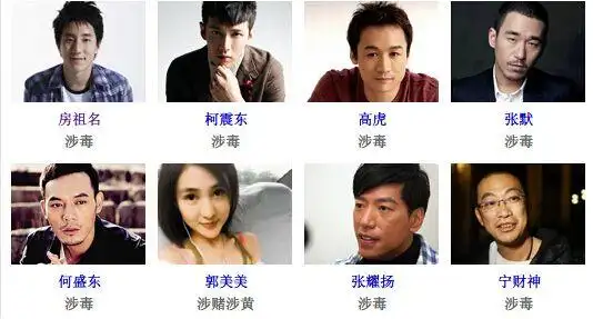 47岁歌手毛宁吸毒被抓 明星为何总吸毒?(组图)--安徽频道--人民网