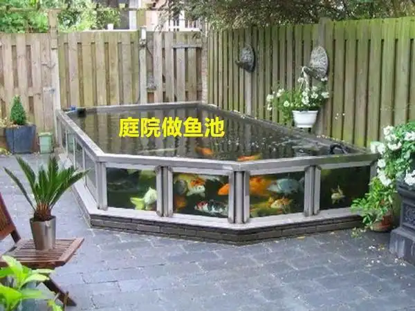 院子空间,其实除了种花,种菜之外,不妨试试在庭院里砌一圈做鱼池比