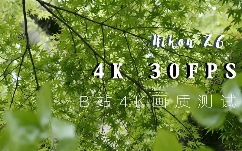 【原创短片】尼康z6视频测试4k短片 | 苏州之春