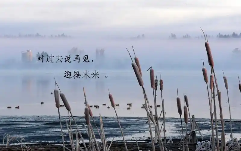 再见过去,未来你好