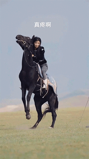 43岁马苏现状:脸大腰粗放弃身材管理,落魄至今无戏可拍