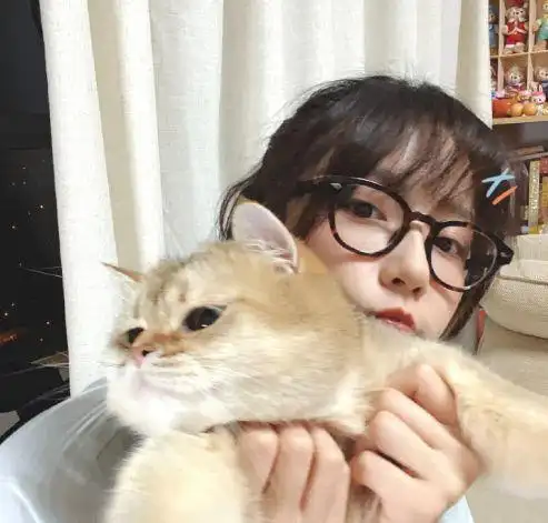 爱情公寓5中的诸葛大力名叫成果27岁长发造型美出新高度