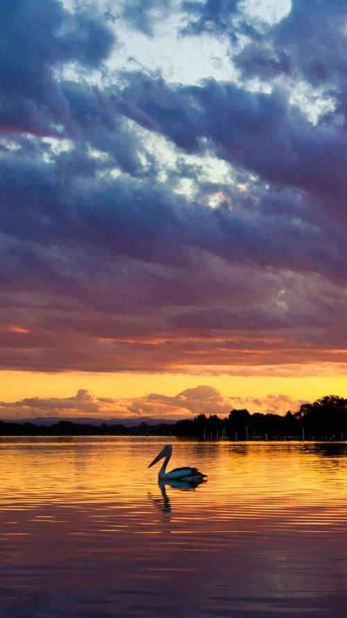 湖光风景自然h5背景
