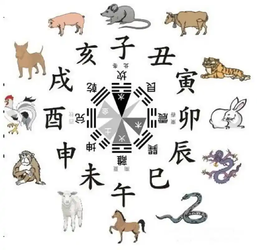 12地支对应12生肖方位 后天八卦对象家中亲人方位