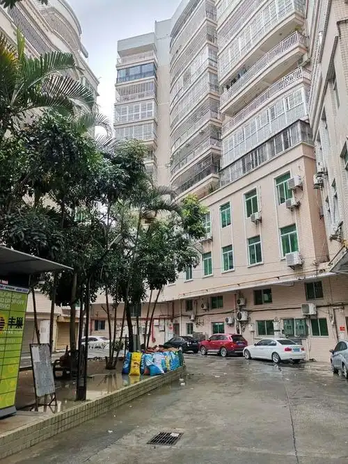 湛江二手房新世纪花园100平方3房2厅70万出售