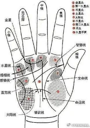从手指上看出你的性格和运势