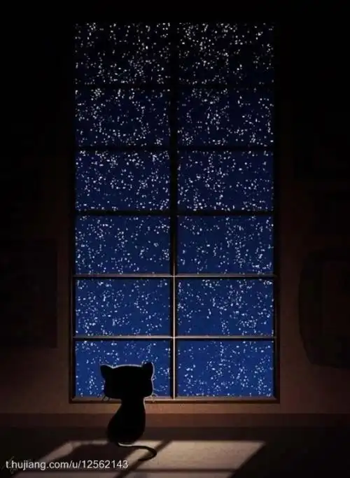 独自一人的黑夜,我总仰望星空,因为你说过"即使不在一起,头顶的却是同