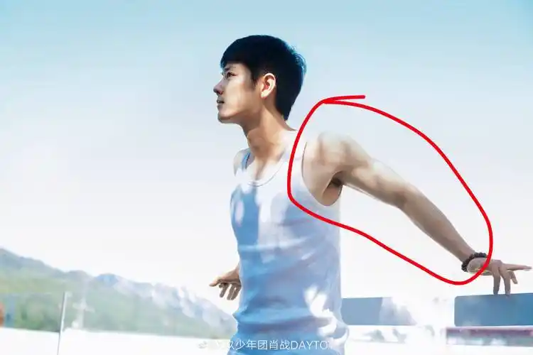 肖战晒肌肉照2小时300万点赞健身达人科普爆筋显他是狠人