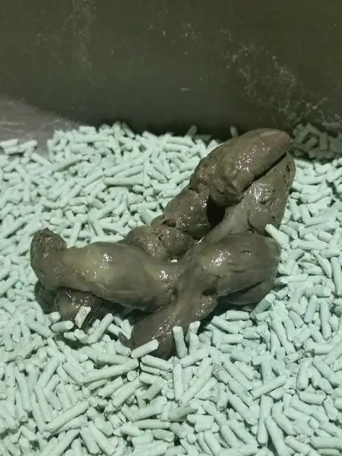 【讨论】崩溃了,南京到底哪里才有靠谱的宠物医院?(内含屎图!