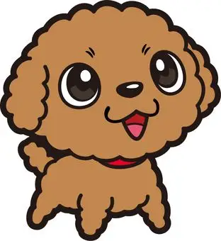 照片素材(图片): 玩具贵宾犬 狗 动物 宠物 可爱的