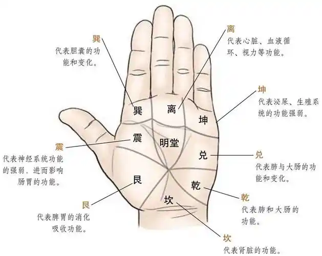 即乾,坎,艮,震,巽,离,坤,兑8个方位运内八卦正确手法 一手持患儿的手