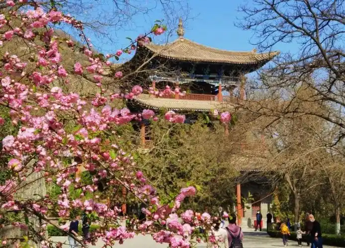 兰州五泉山公园春色满园