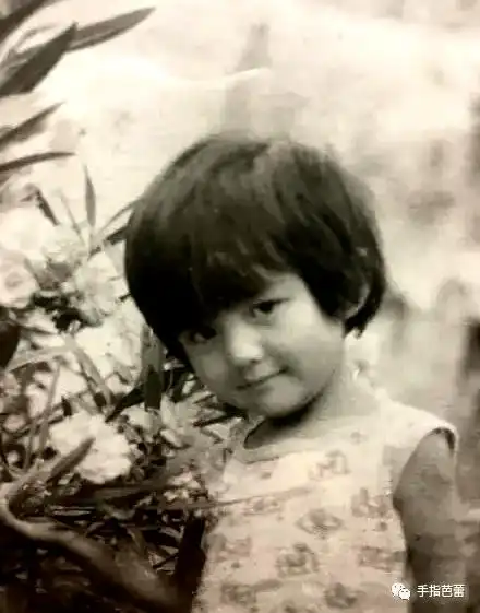 看看明星们的童年照,到底变化有多大_刘嘉玲_小时候_景甜