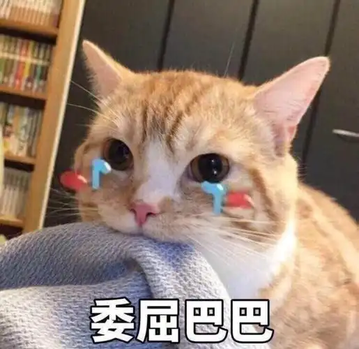 萌宠gif猫星人gif委屈巴巴gif哭了gif呆萌gif可爱gif