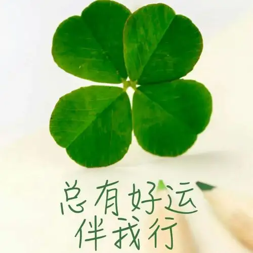 被情伤过的女人 - 钱定今生:兵 唱吧,玩音乐,就上唱吧!