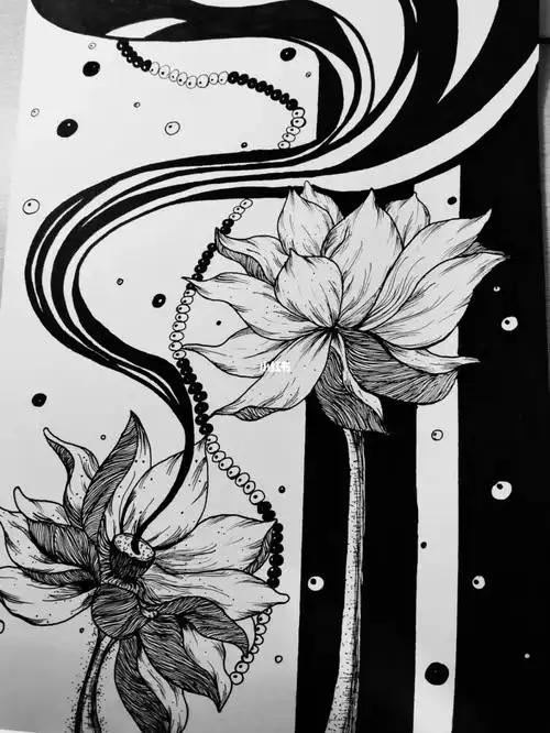 黑白装饰画临摹