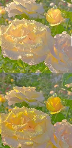 ins干净温柔超仙的壁纸不用刻意合群有趣的人自然会相互吸引