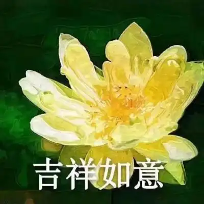 江淮佛系荷花微信头像岁月静好