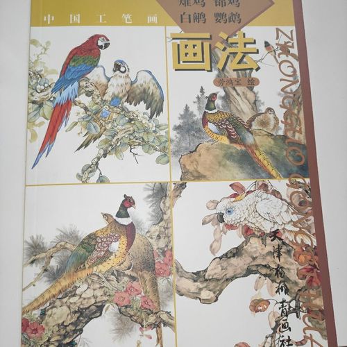中国工笔画画法步骤雉鸡锦鸡艺术绘画画法国画禽鸟天津杨柳青