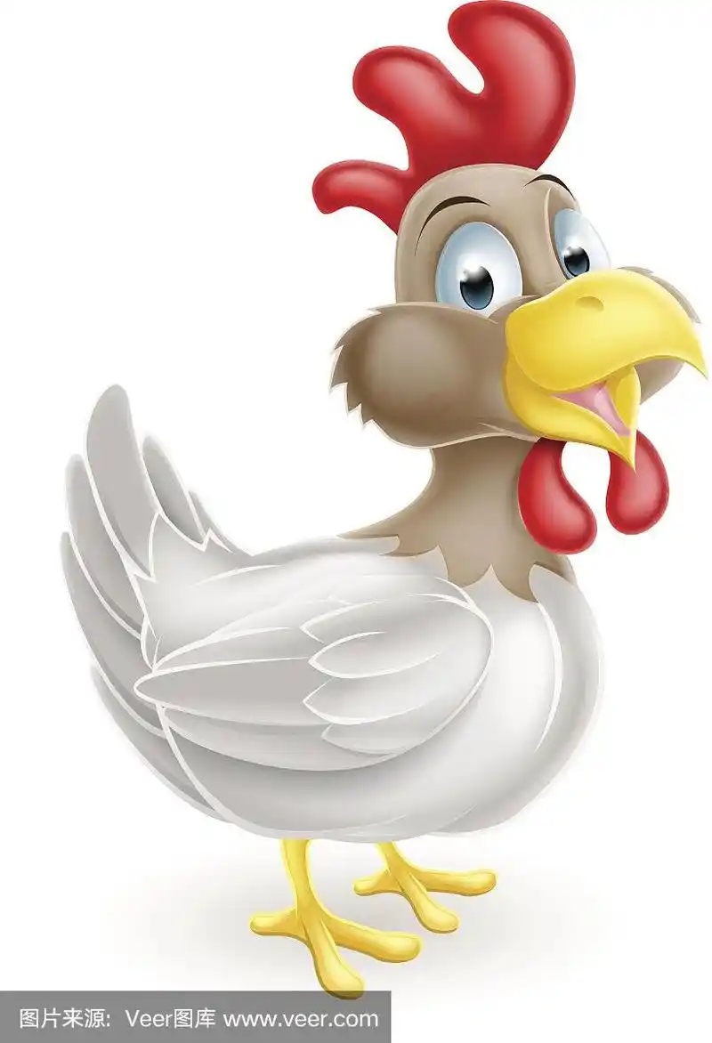 鸡的卡通