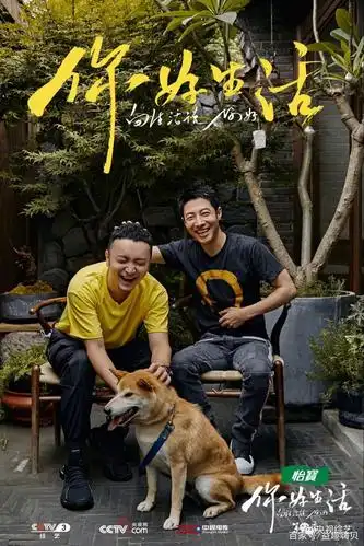 《你好生活》:今冬最温暖最治愈的地方,我一定选这个宝藏节目!