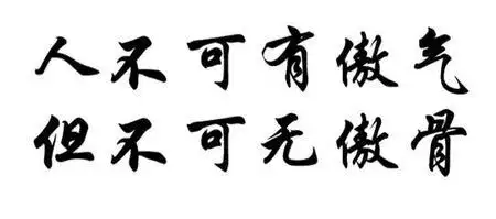 人不可有傲气 但不可无傲骨行书