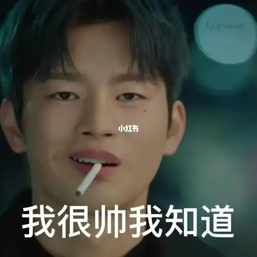 可可爱爱的表情包子