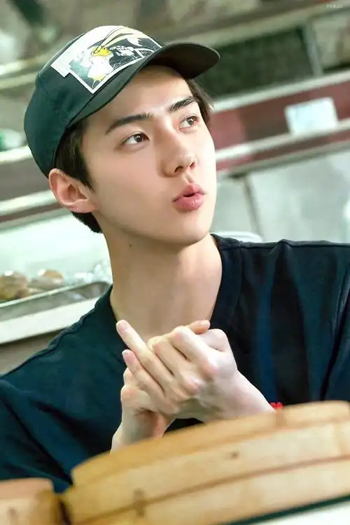 吴世勋taokaenoi代言人##吴世勋代言小老板海苔