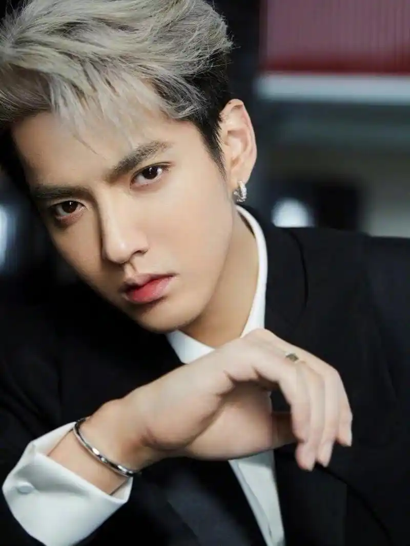 听说吴亦凡关联的公司都成老赖了,欠了税款200多万?