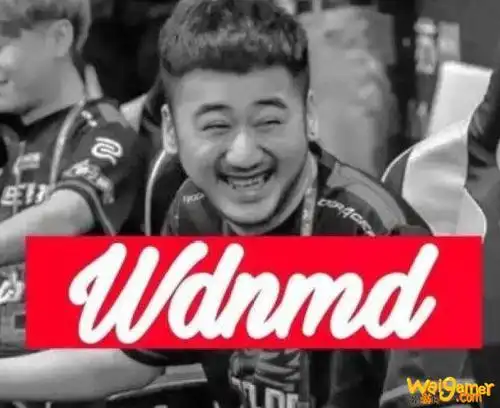 csgo茄子表情包wdnmd分享