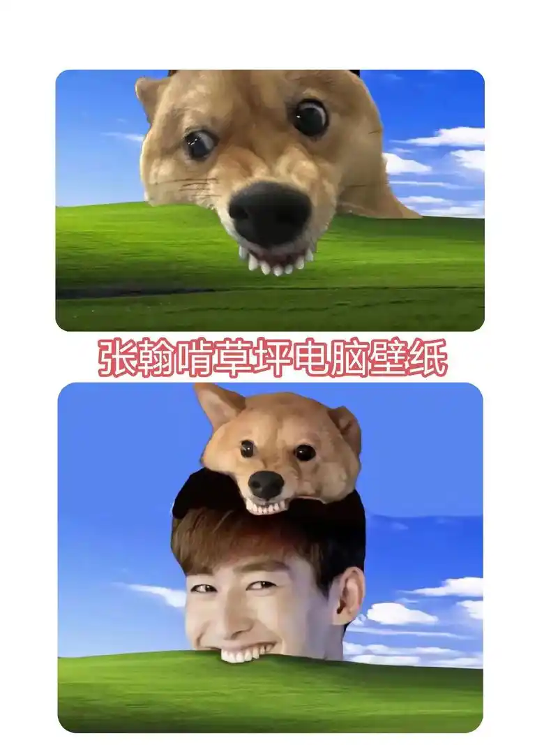 张翰啃草坪表情包 张翰啃草坪壁纸.张翰啃草原电脑壁纸 蓝色雪 - 抖音