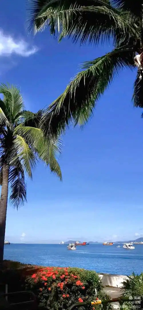 美丽三亚浪漫天涯