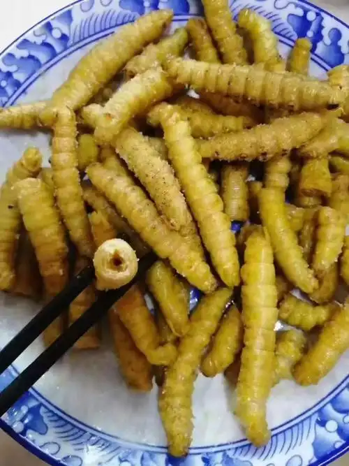 批发豆虫野生山东豆虫豆丹豆虫活体豆虫即食炸豆虫活豆虫豆青虫半斤