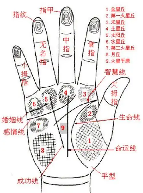 易经看手相:掌中六纹,抓金抓银