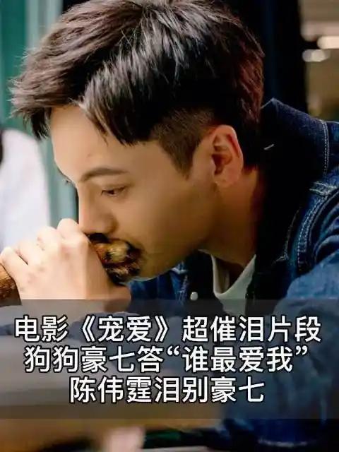 超催泪电影宠爱,谁最爱我陈伟霆泪别豪七正在热映的电影《宠爱》