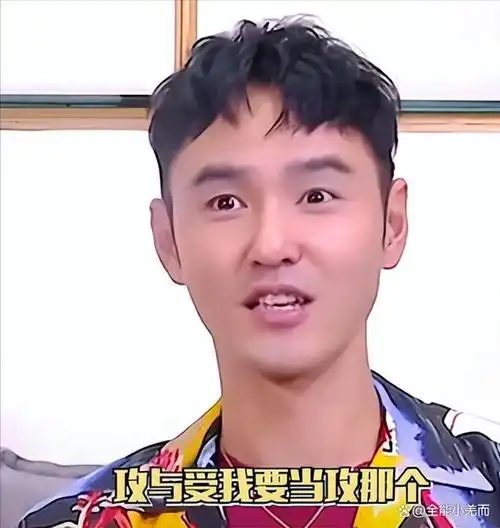 共用一张脸相似的前半生明道和阮经天一比差别显而易见