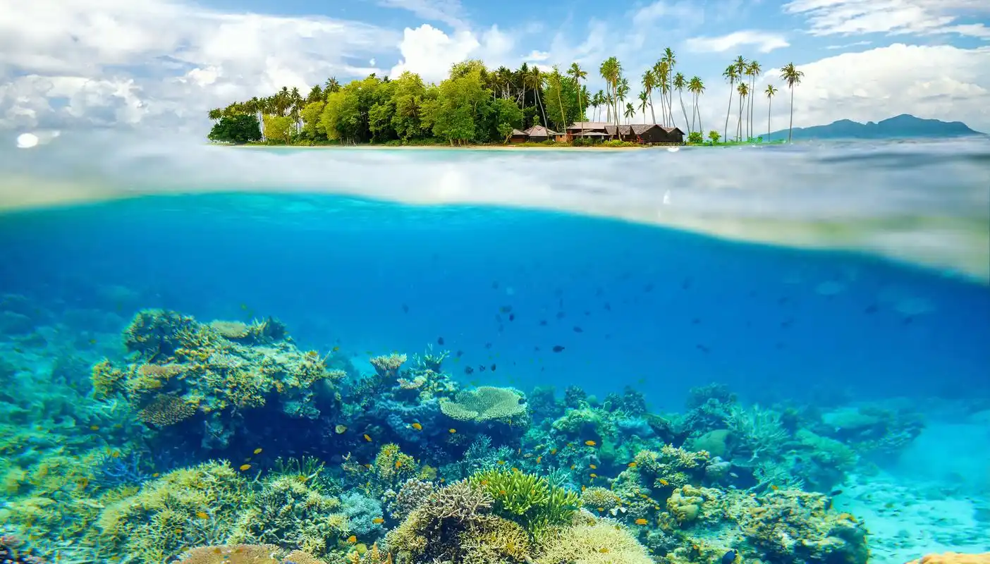 海底珊瑚景色图片高清电脑壁纸 第一辑高清大图预览1920x1080_风景