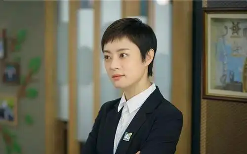 现实都市剧《安家》讲述了安家天下中介公司把经理房似锦(孙俪[微博]