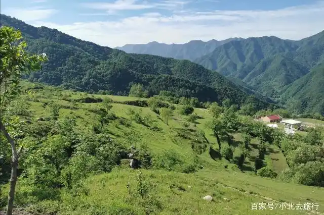 陕西蓝田流峪飞峡附近高山草甸