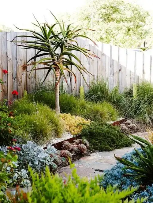 别人家的多肉庭院好q好萌呀