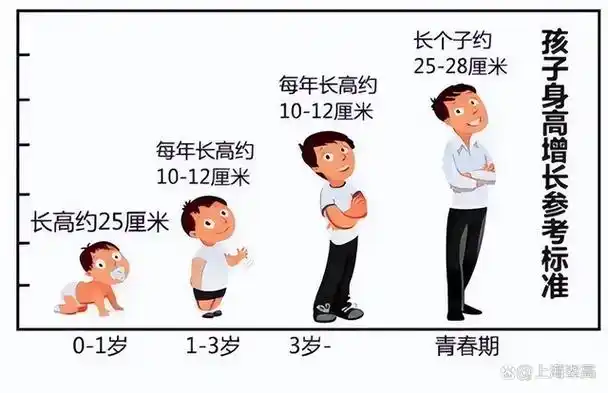 让孩子拥有一个比较理想的身高是很多家长的梦想,高个子的孩子在成长