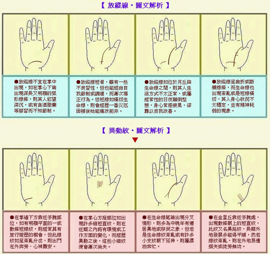 首页 相学 手相 手相 点击查看大图