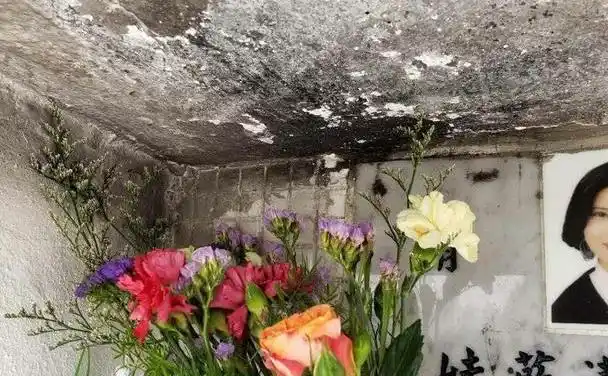 蓝洁瑛墓地被破坏墓碑都被熏黑粉丝气的发抖